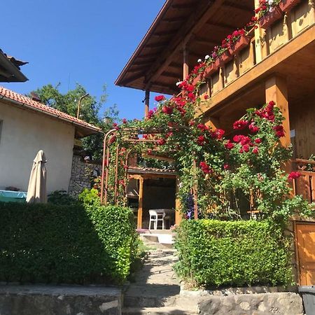 Guest House Roden Dom 科普里夫什迪察 外观 照片