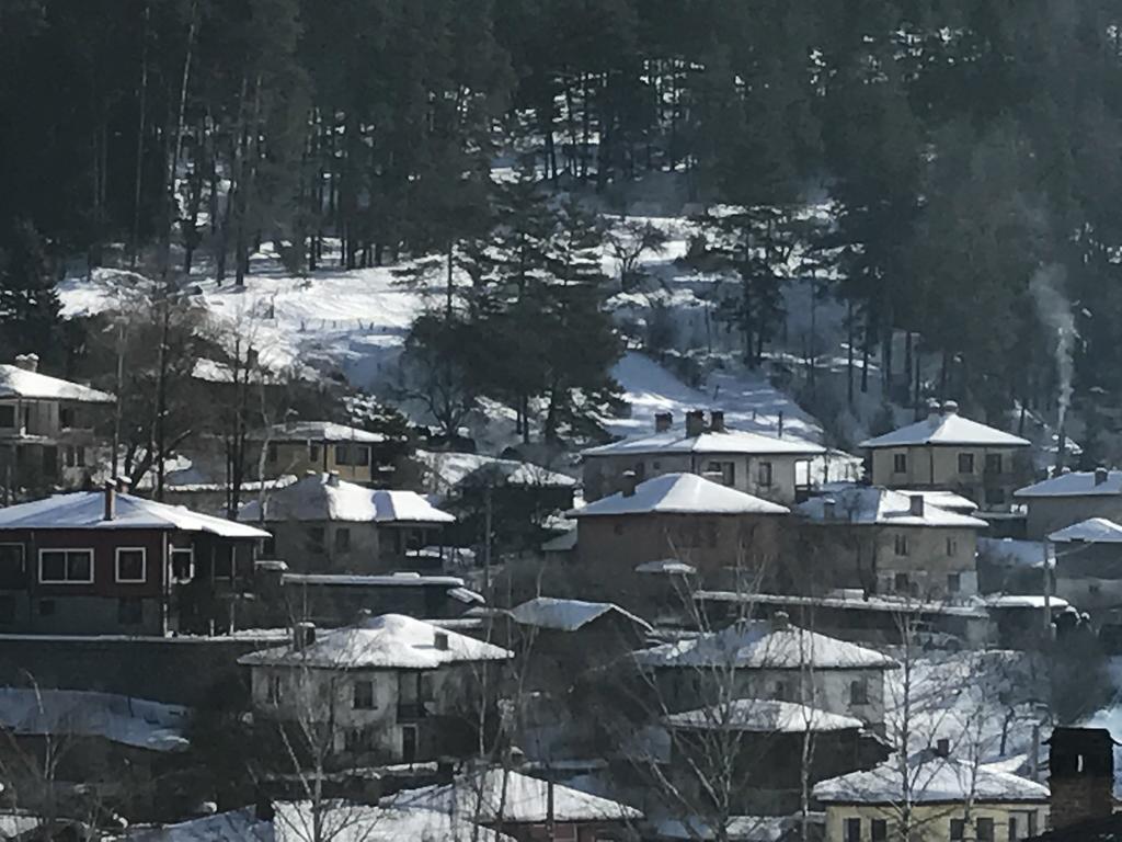 Guest House Roden Dom 科普里夫什迪察 外观 照片