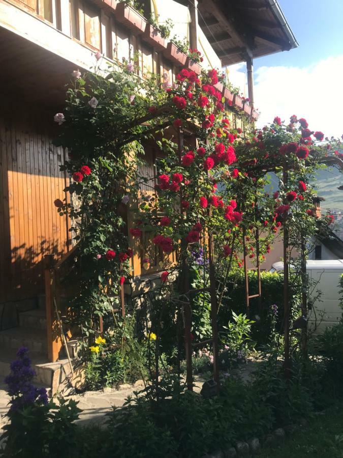Guest House Roden Dom 科普里夫什迪察 外观 照片